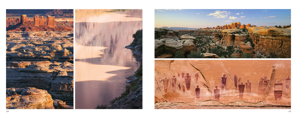 Treasured Lands Book from Ingram Books at Pinch in Northampton, MA
