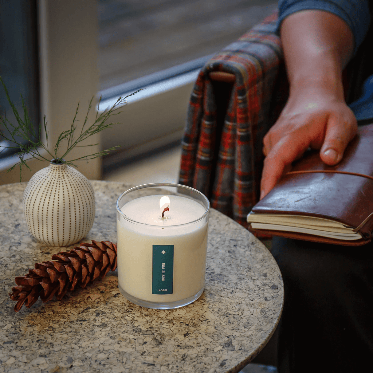 Rustic Pine Plant the Box Candle at PINCH