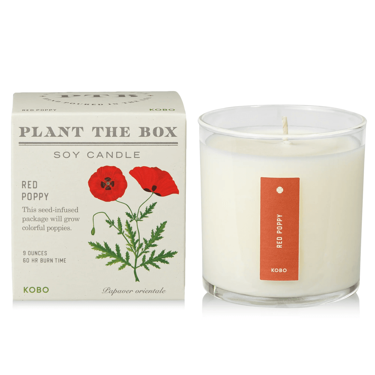 Red Poppy Plant the Box Candle at PINCH