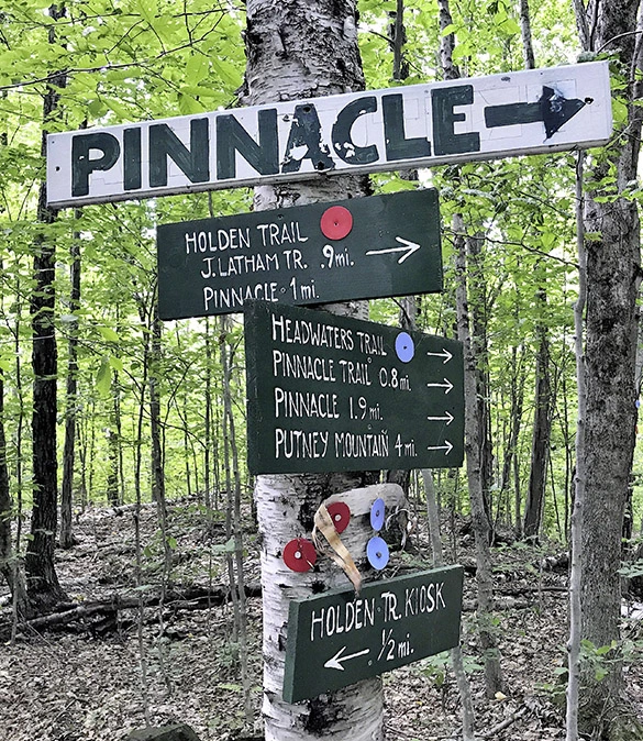 Beer Hiking New England from Ingram Books at Pinch in Northampton, MA