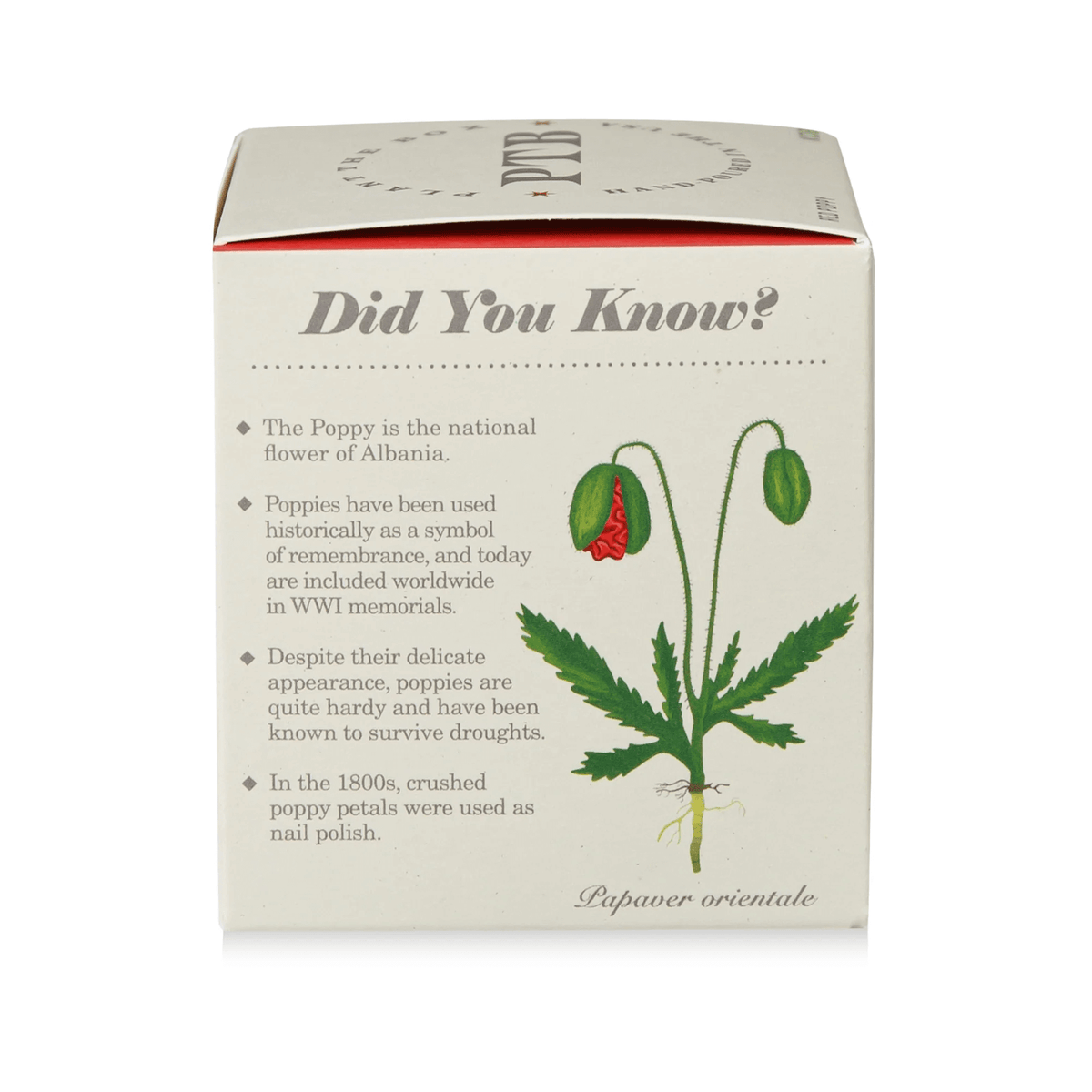 Red Poppy Plant the Box Candle at PINCH