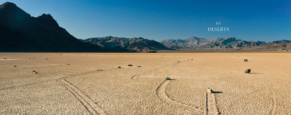 Treasured Lands Book from Ingram Books at Pinch in Northampton, MA