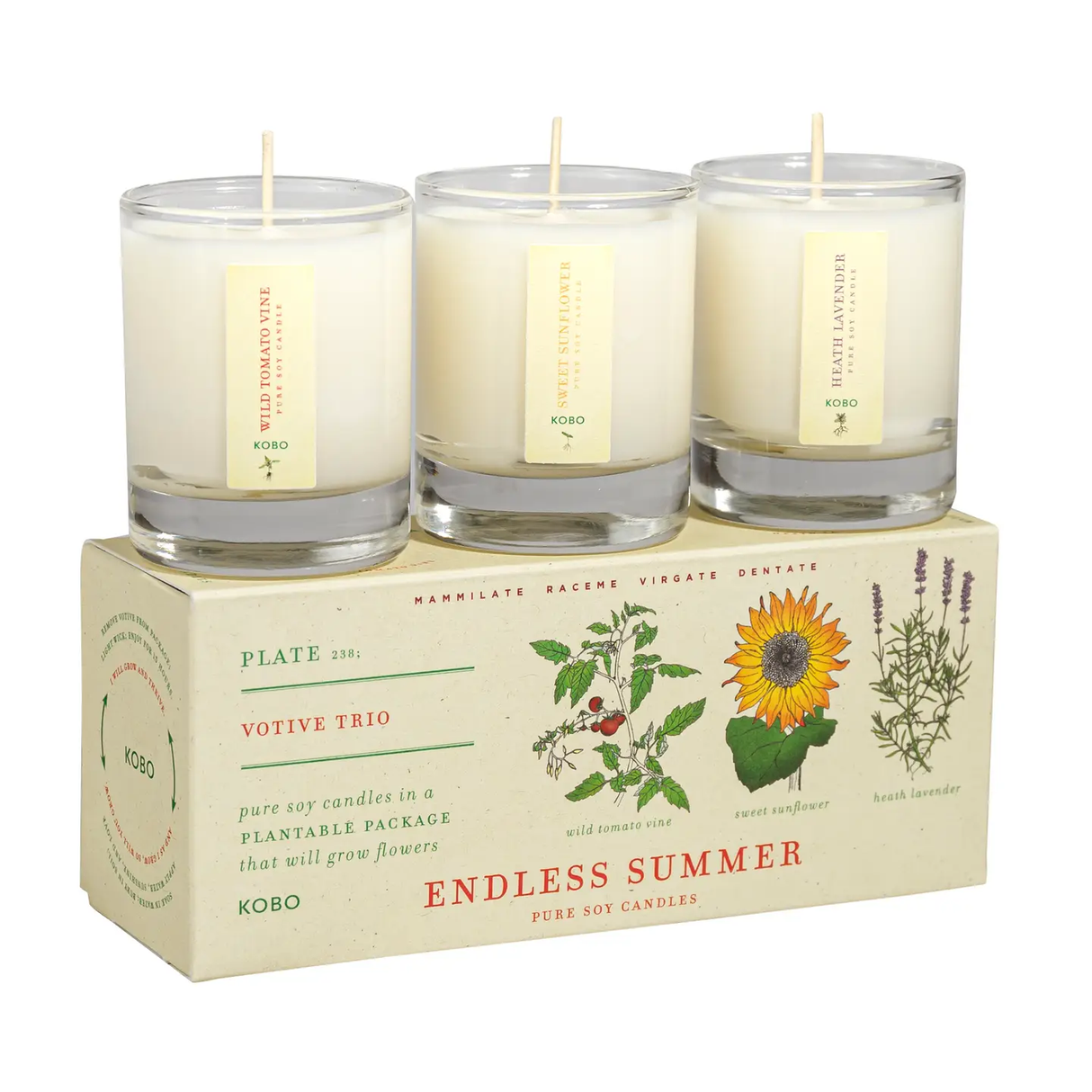 Endless Summer Votive Trio
