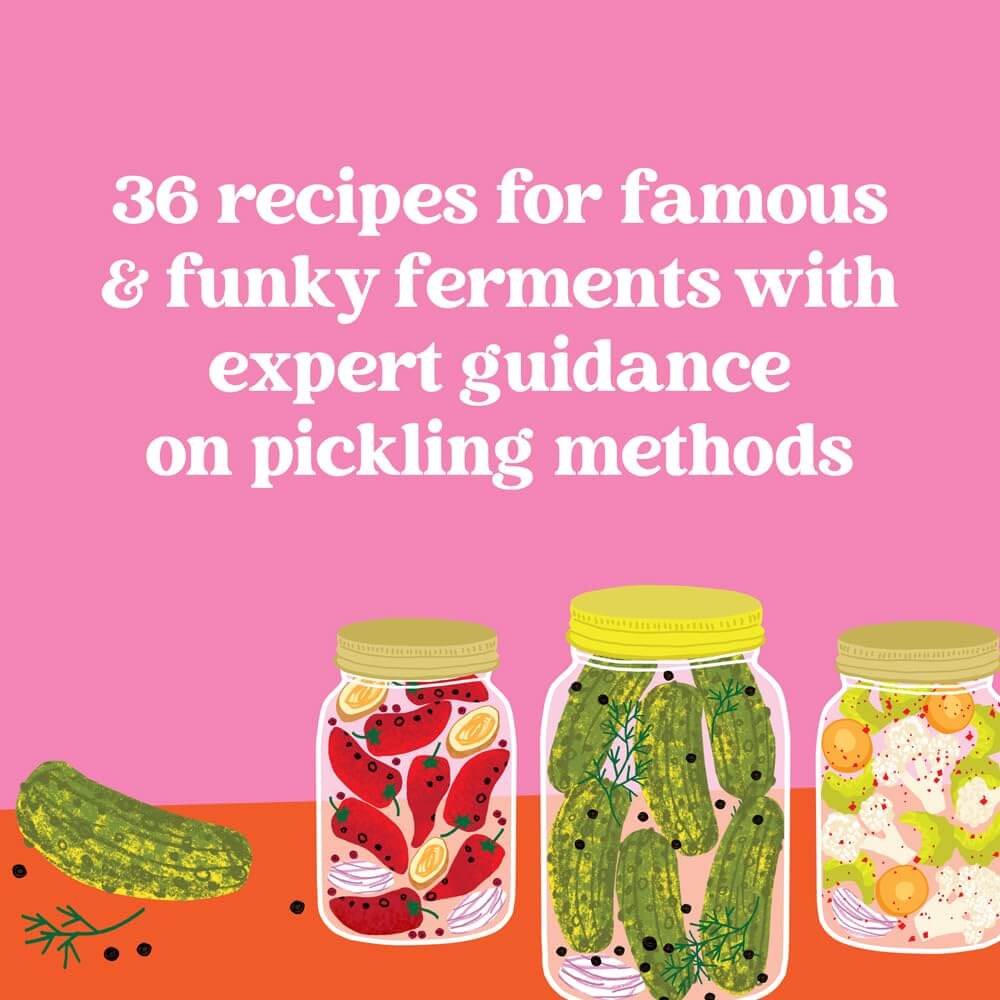 Pickles, Illustrated from Chronicle Books at Pinch in Northampton, MA