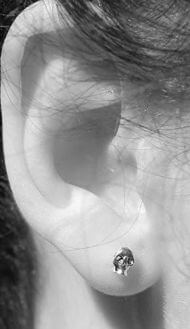 Skull Earrings 14k Gold Fill at PINCH