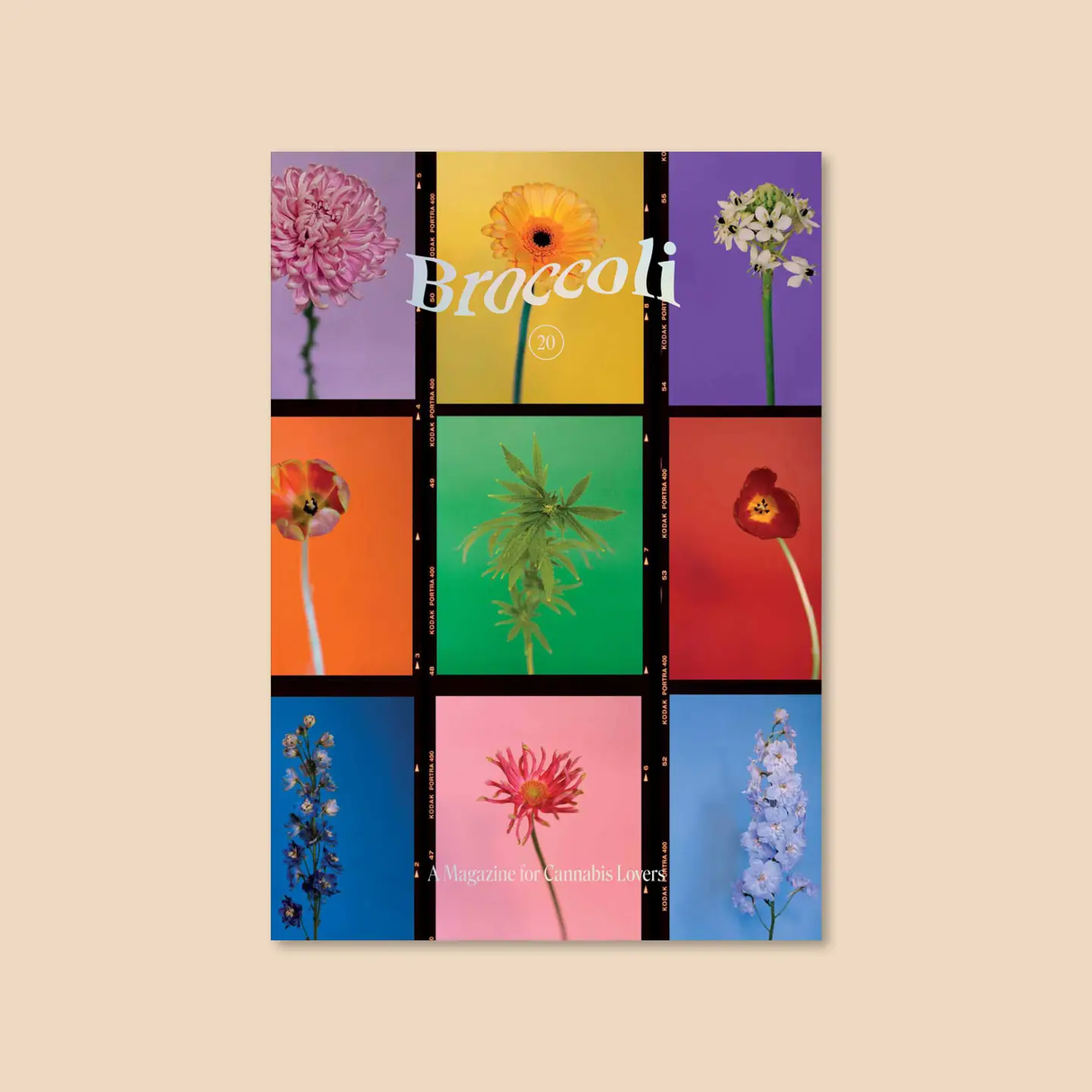 Broccoli Magazine Issue 20 from Broccoli at Pinch in Northampton, MA