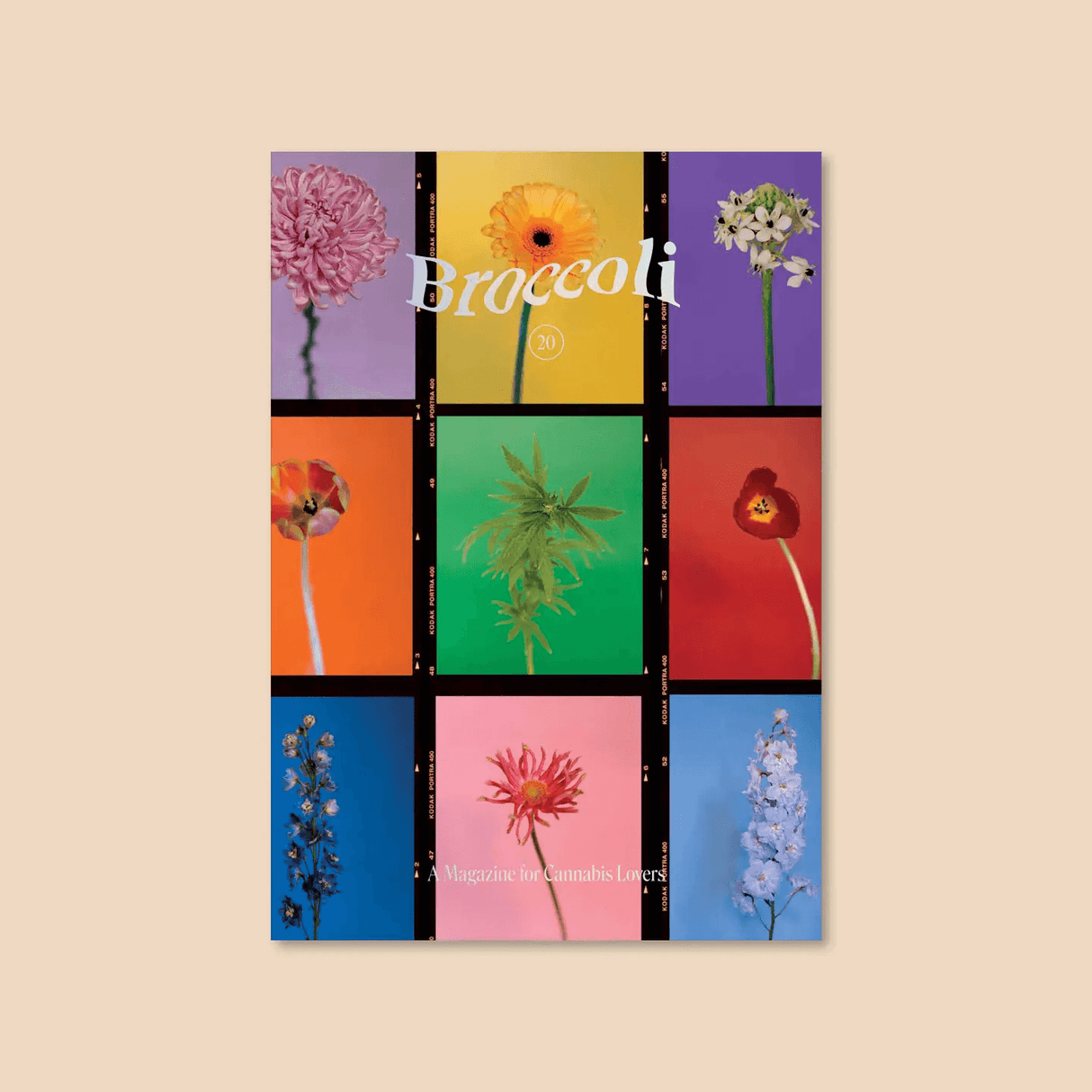 Broccoli Magazine Issue 20 from Broccoli at Pinch in Northampton, MA