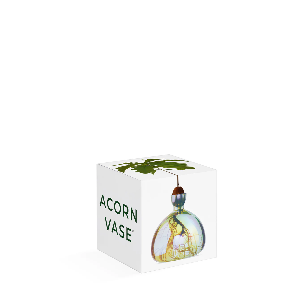 Acorn Vase in Cosmic Vega