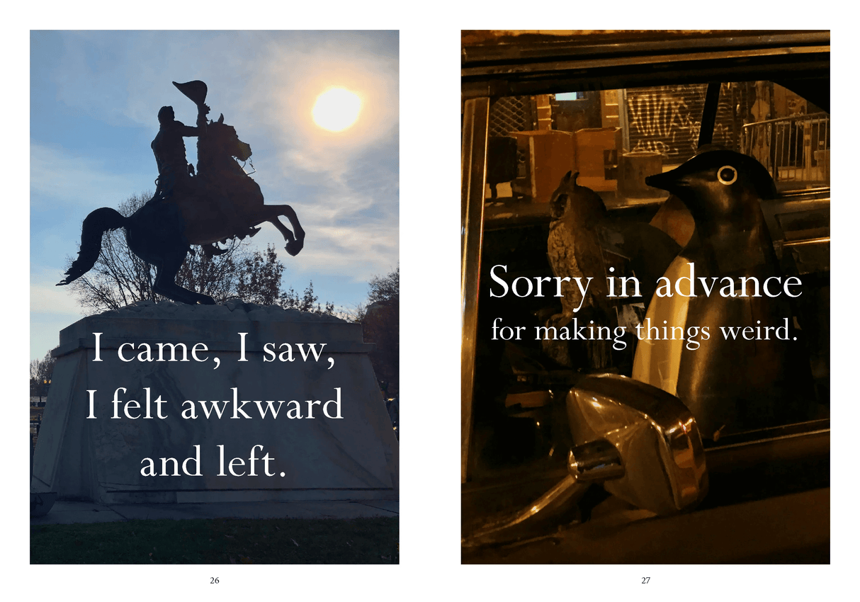 Sorry in Advance For Making Things Weird from Chronicle Books at Pinch in Northampton, MA