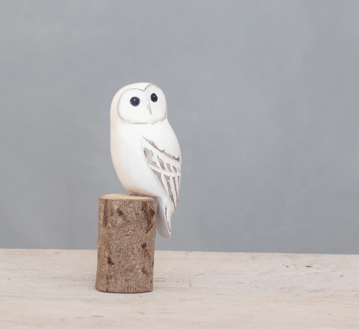 5" Mini Barn Owl at PINCH