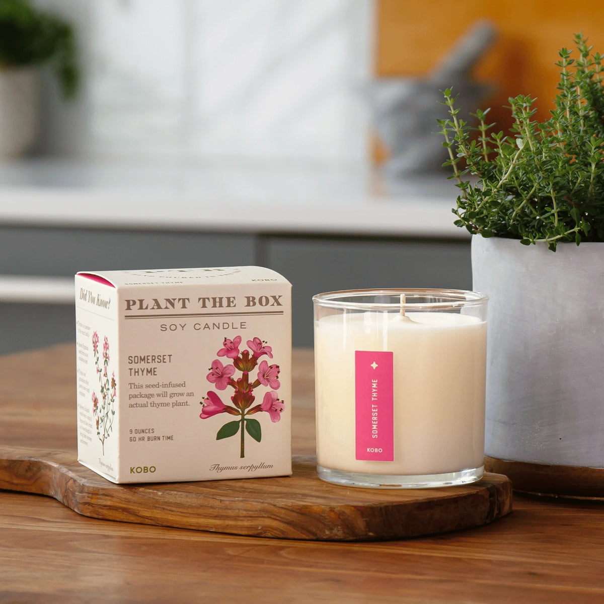Somerset Thyme Plant the Box Candle
