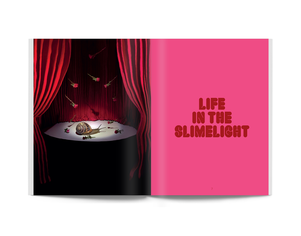 Snail World Book: Life in the Limelight at PINCH