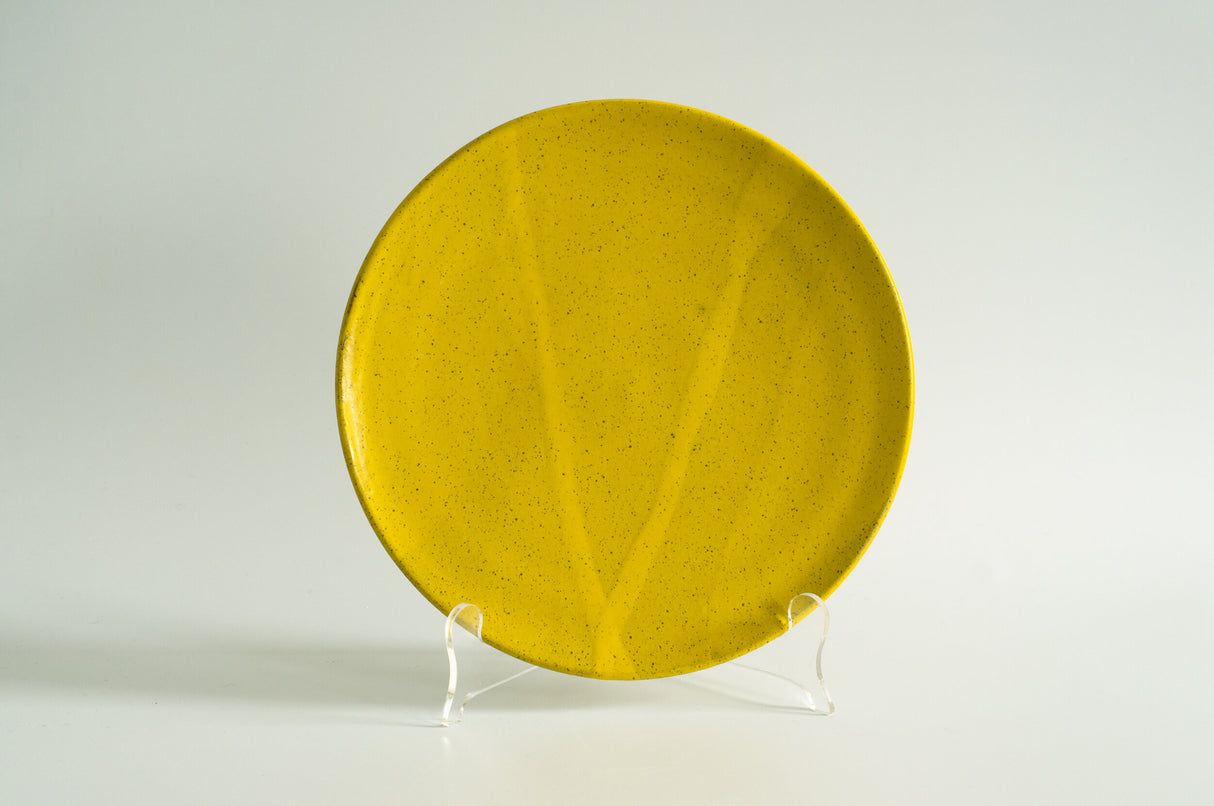 Dinner Plate from Rachael Pots at Pinch in Northampton, MA