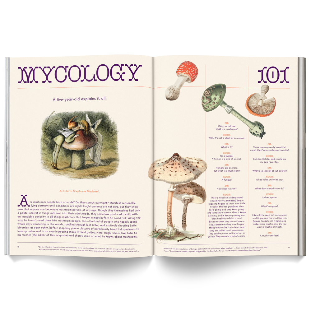 Mushroom People Magazine from Broccoli at Pinch in Northampton, MA