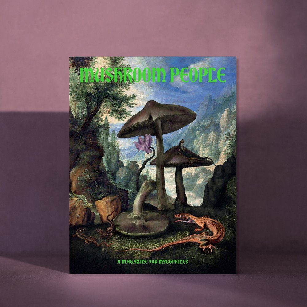 Mushroom People Magazine from Broccoli at Pinch in Northampton, MA