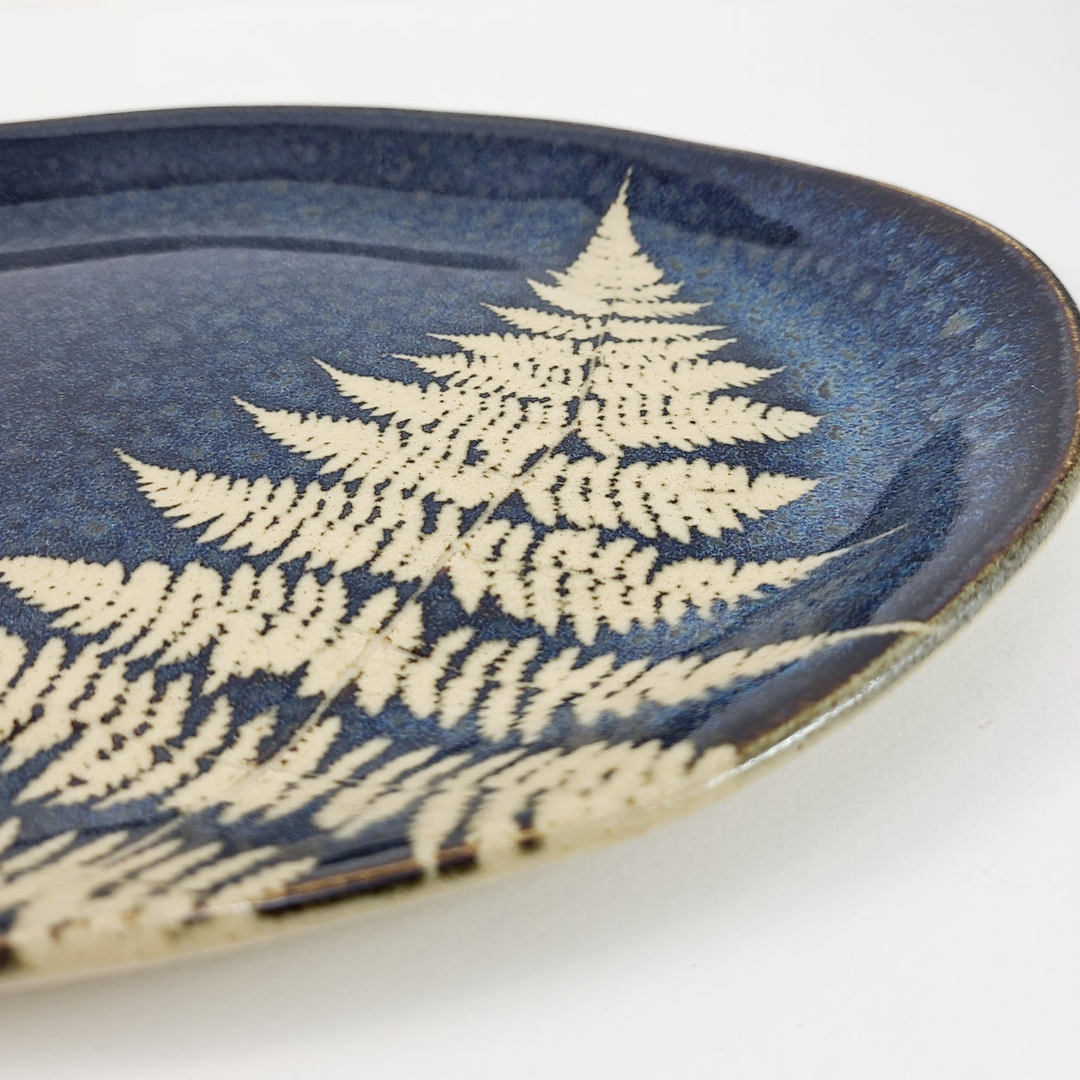 Fern Dark Large Oval Plate from Kaleidoscope Pottery at Pinch in Northampton, MA
