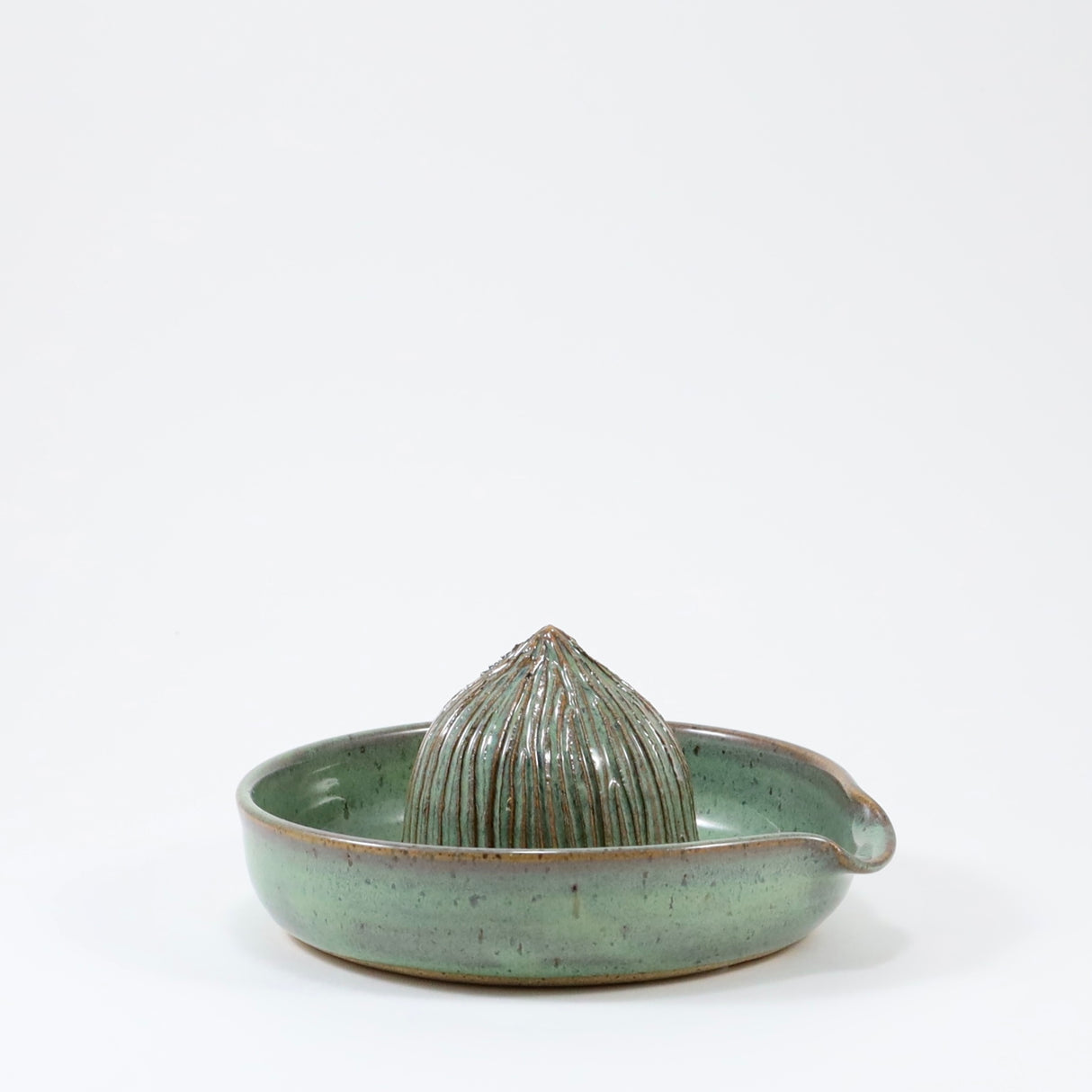 Citrus Juicer in Sage from Rachael Pots at Pinch in Northampton, MA