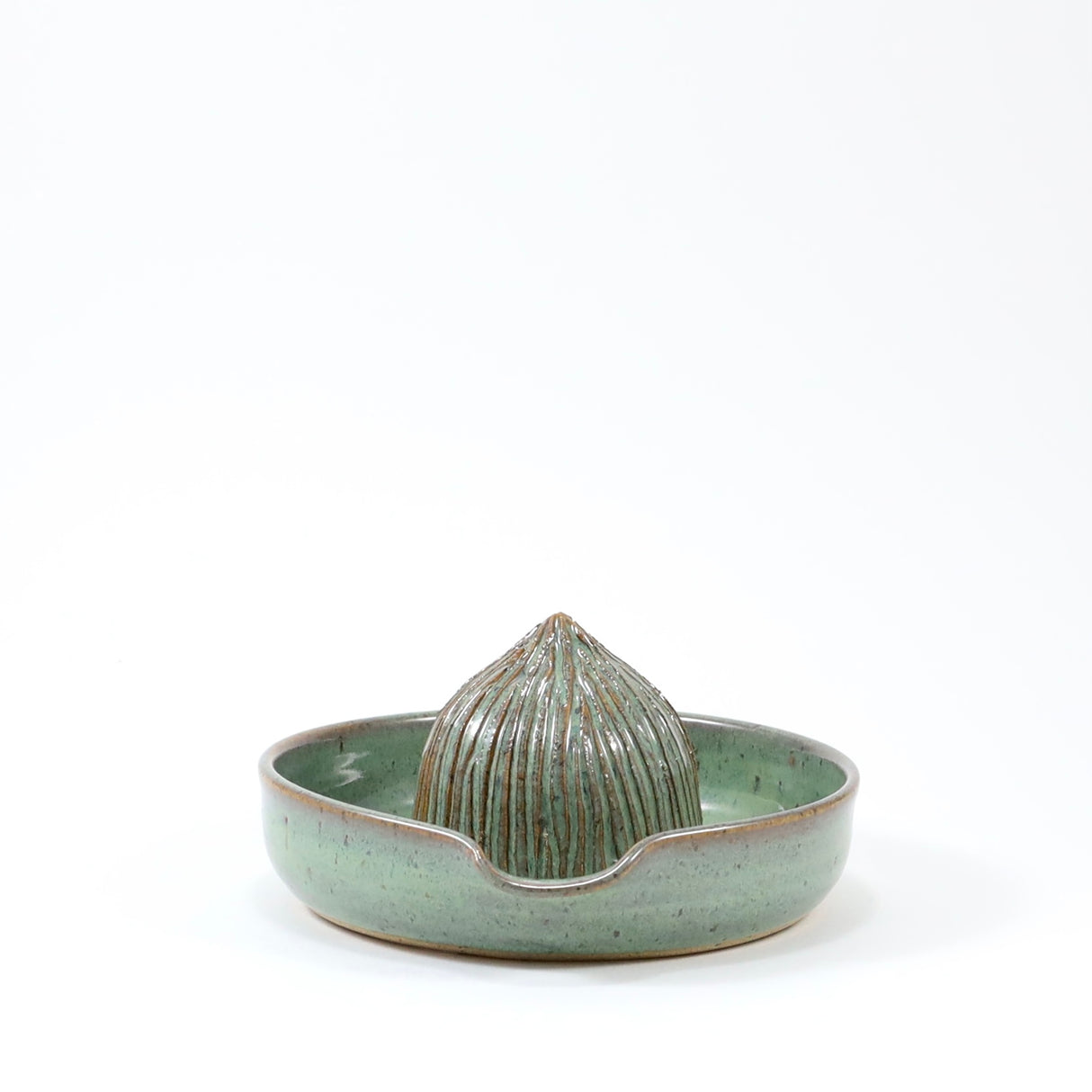 Citrus Juicer in Sage from Rachael Pots at Pinch in Northampton, MA