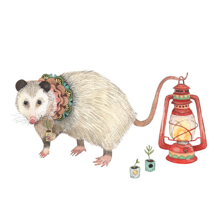 Margot's Seedlings 8x10 Print from Polanshek of the Hills at Pinch in Northampton, MA