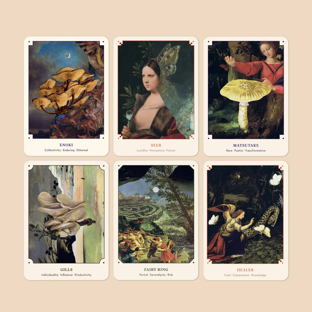 The Mushroom Oracle: 44 Card Deck & Guidebook from Broccoli at Pinch in Northampton, MA