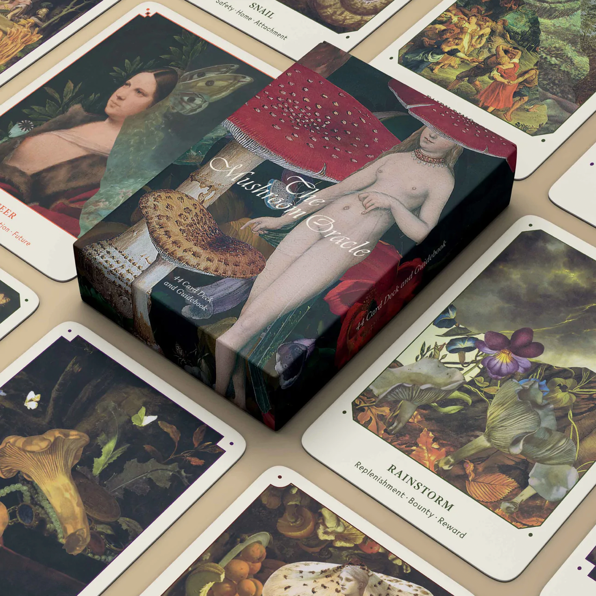 The Mushroom Oracle: 44 Card Deck & Guidebook from Broccoli at Pinch in Northampton, MA