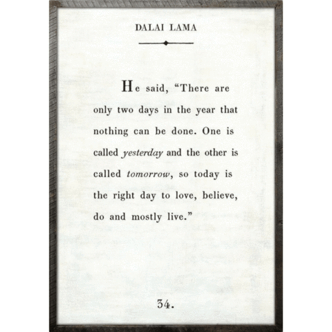 Dalai Lama Art Print (Book Collection) from Sugarboo Designs at Pinch in Northampton, MA