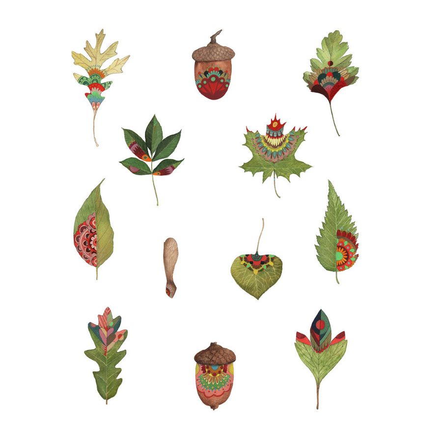 Collector: Garden Series 11x14 Print from Polanshek of the Hills at Pinch in Northampton, MA