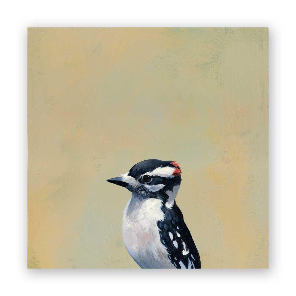 Downy Woodpecker 8x8 Wooden Panel from The Mincing Mockingbird at Pinch in Northampton, MA