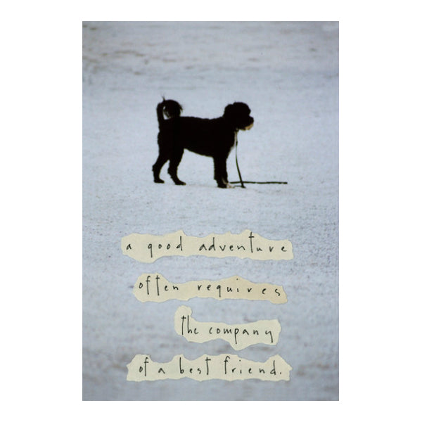 A Best Friend Story Picture from Diane Hanna/Stoneheart at Pinch in Northampton, MA