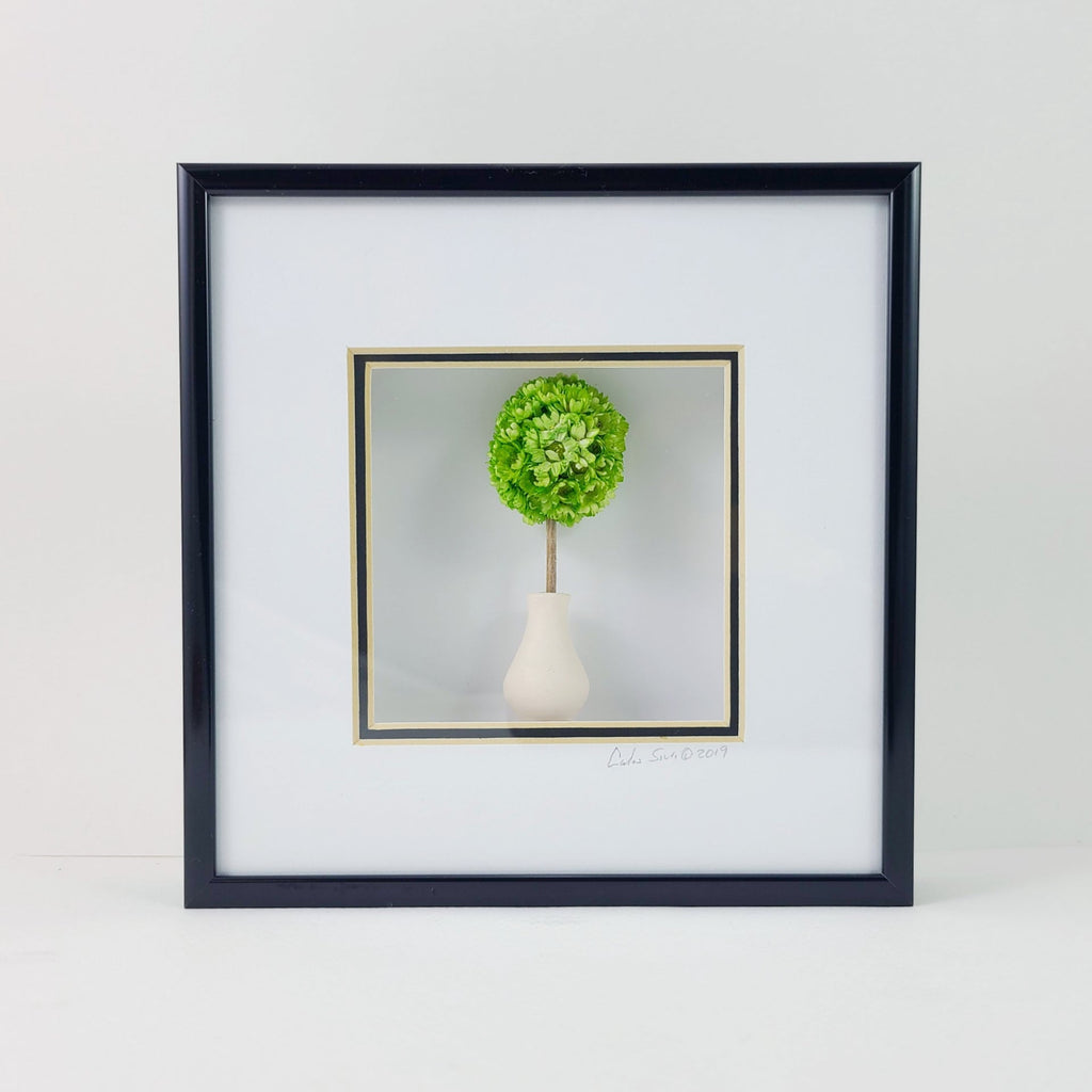 Carlos Silva Centuries Clayworks 6x6 Shadowbox White Vase with Green Flowers