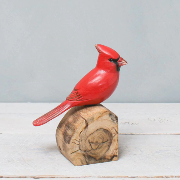 Male Cardinal in Wood at PINCH
