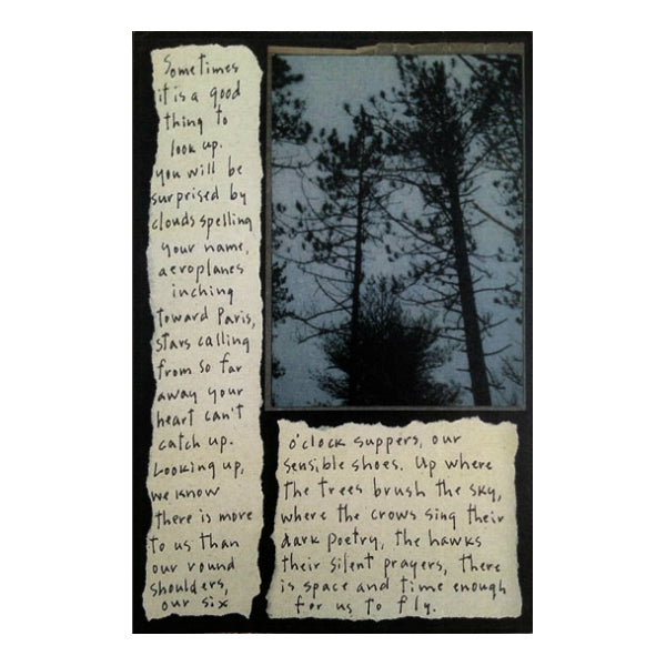 Look Up Story Picture from Diane Hanna/Stoneheart at Pinch in Northampton, MA