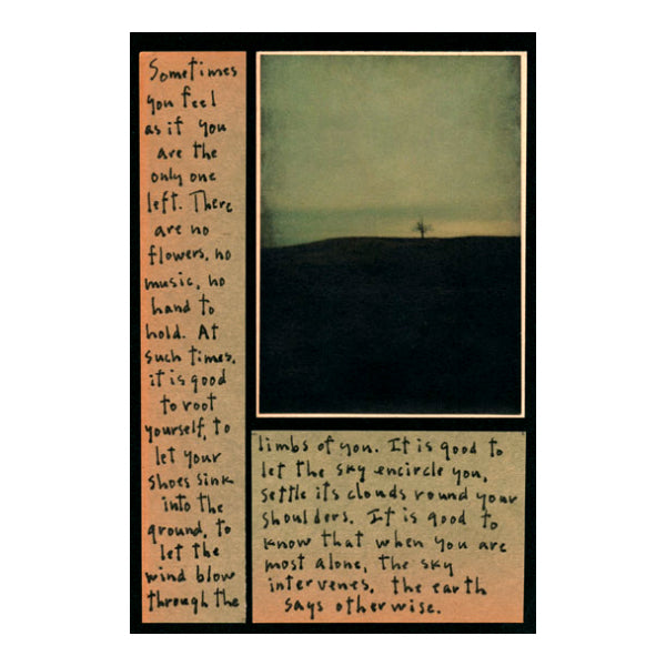 Most Alone Story Picture from Diane Hanna/Stoneheart at Pinch in Northampton, MA