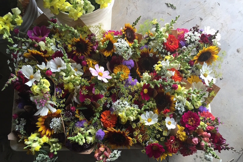 Many Graces Farm Flower Share CSA