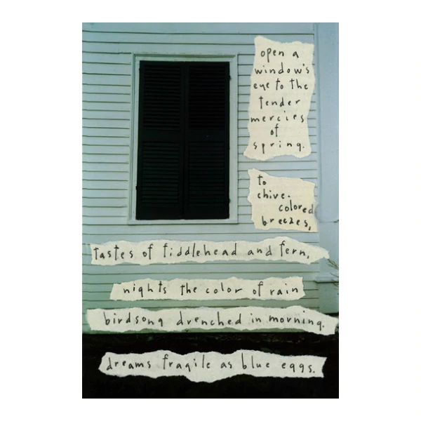 White wall with a closed black shutter, layered with handwritten poetic text on torn paper strips.
