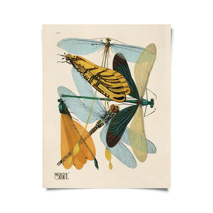 Curious Prints