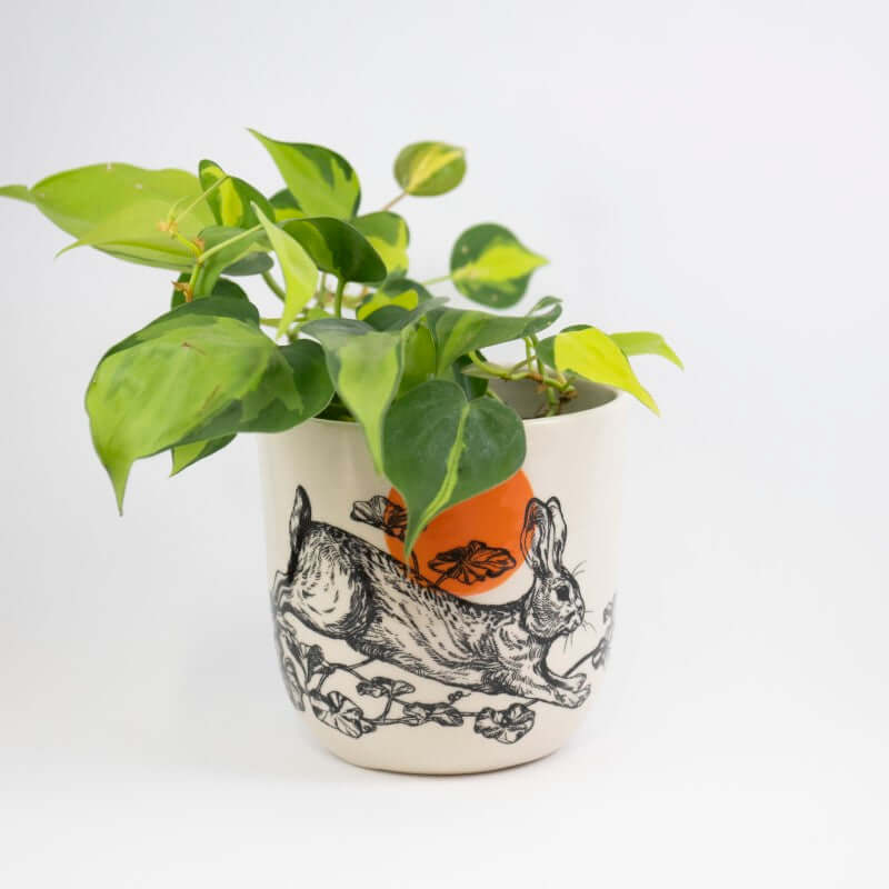 Large Sun & Rabbit Planter #3