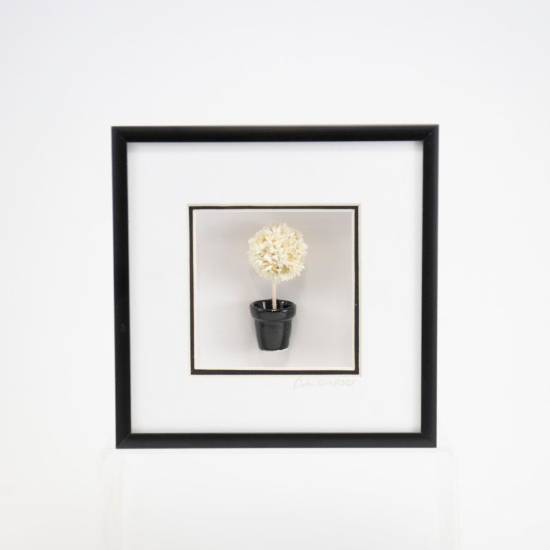 6x6 Shadowbox with White Flowers and Black Pot in a Black Frame