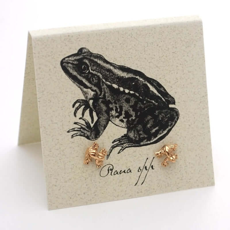 Frog Earrings in Gold Fill at PINCH