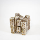 Artifact by Sam Taylor