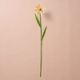 Silk Paper Cone Flower Cream