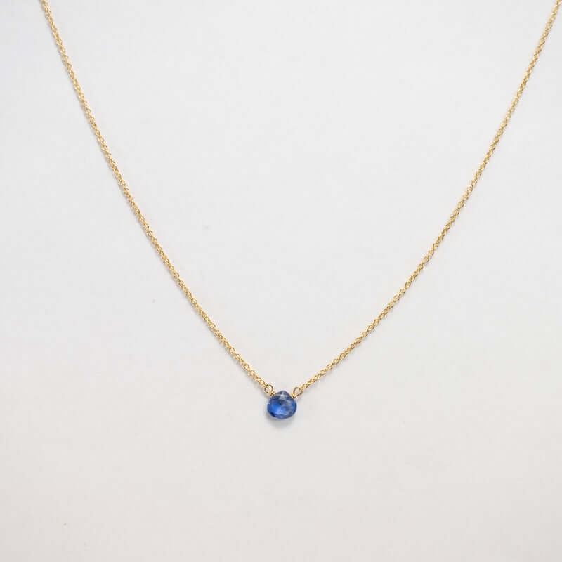Gold Fill Kyanite Necklace at PINCH