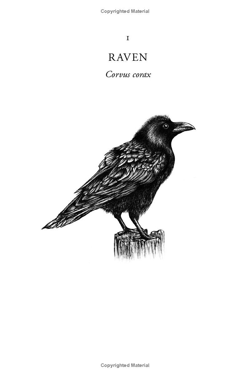 Ten Birds That Changed the World
