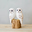 Pair of Baby Barn Owlets - 8" from Aviologie at Pinch in Northampton, MA