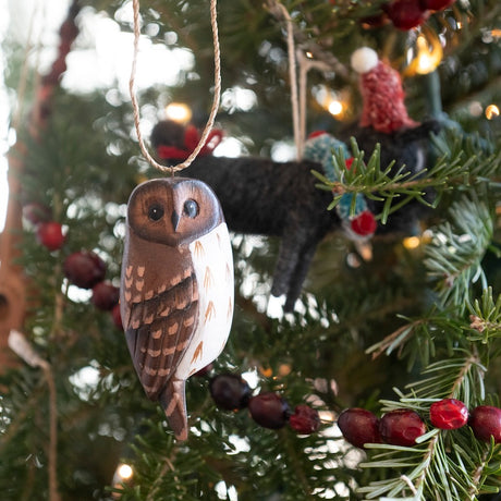 Hanging Barred Owl in Wood from Aviologie at Pinch in Northampton, MA