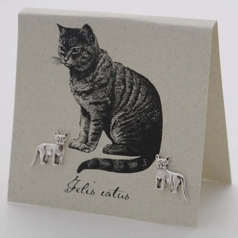Cat Earrings in Sterling Silver at PINCH