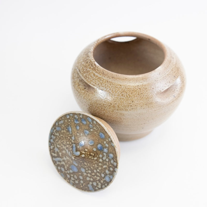 Garlic Keeper Rain Drop