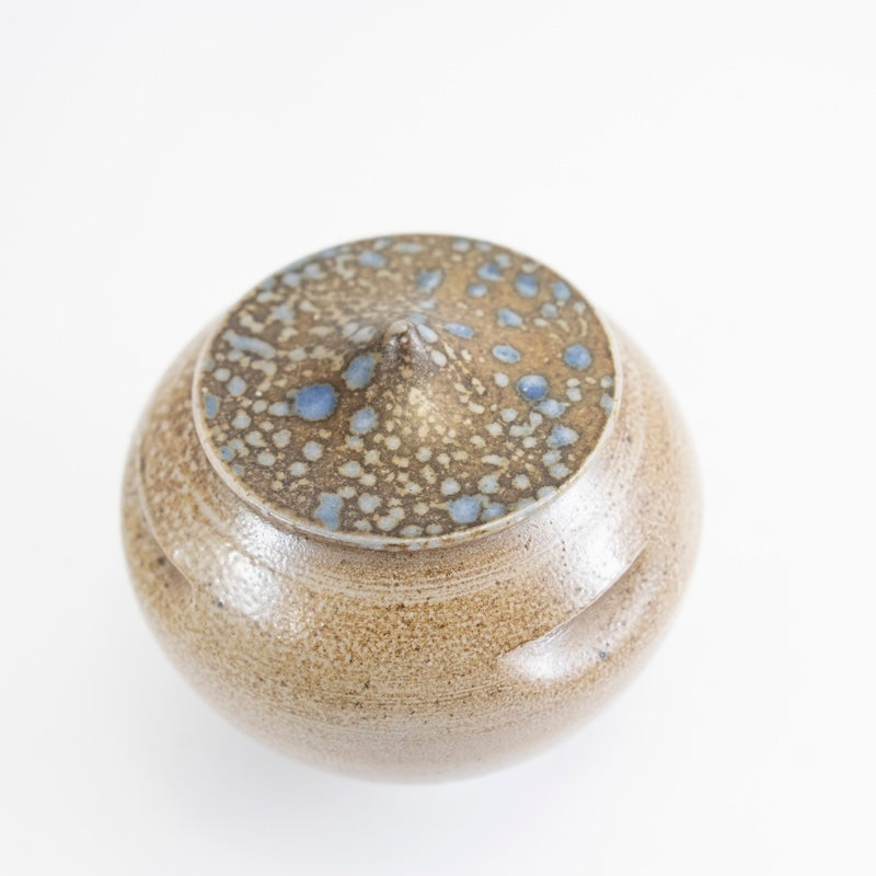 Garlic Keeper Rain Drop