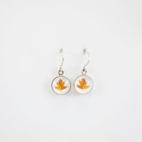Earrings Golden Leaf in Sterling Silver from Jen Smith at Pinch in Northampton, MA