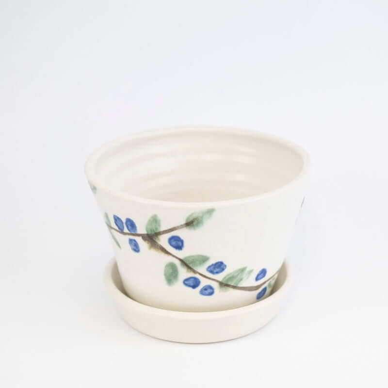 Berry Bowl with Blueberries